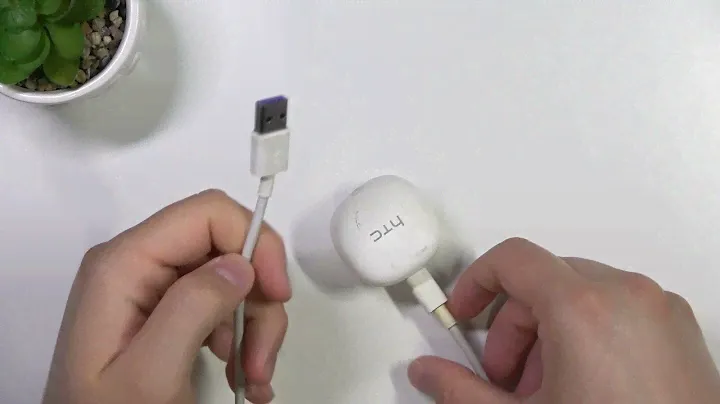 How to Charge HTC True Wireless Earbuds?